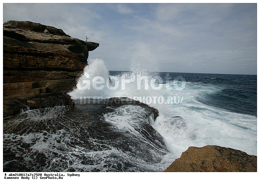 ���������, ���� �����������, ������, ����� �����, �����������, ������