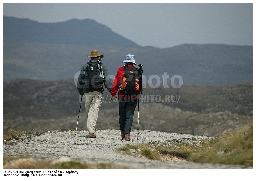 ���������, ���� �����������, ������, ����� �����, �����������, ������