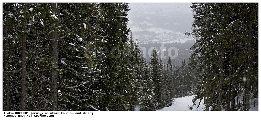 ��������, ��������, �����������, ����, ����� ����, ����, ������, ������ �����, ������, ����������, �����, ����������, ������, ��������, �����, ������