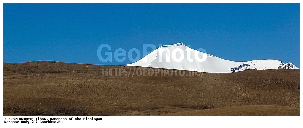 �����, ��������, �������, ����, 