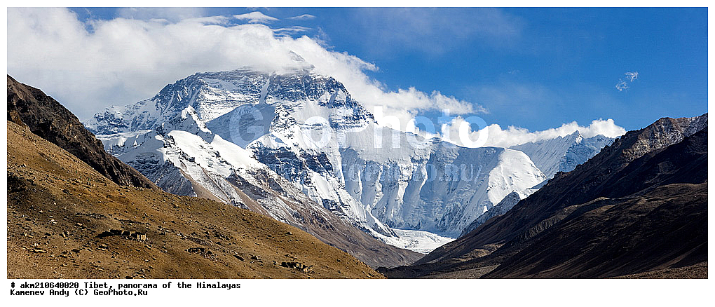 �����, ��������, �������, ����, , �������, �����������, �������� ��������