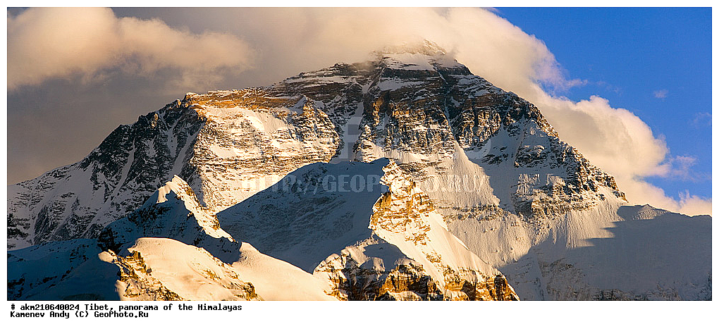 �����, ��������, �������, ����, , �������, �����������, �������� ��������