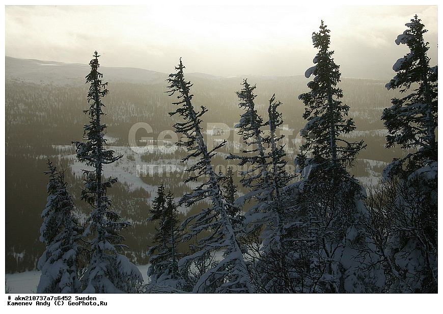 ������, ��������, �����������, ����� ����, ����, ������, ������ �����, ������, ����������, �����, ������, ��������, �����, ������, ��������, ������ ����