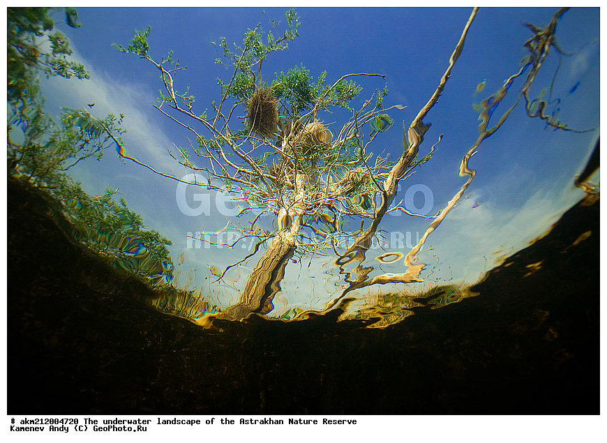  ������ �����, ������������ ����������, ��������� ���������, ������������, ������, ����, �����, ��������, �����