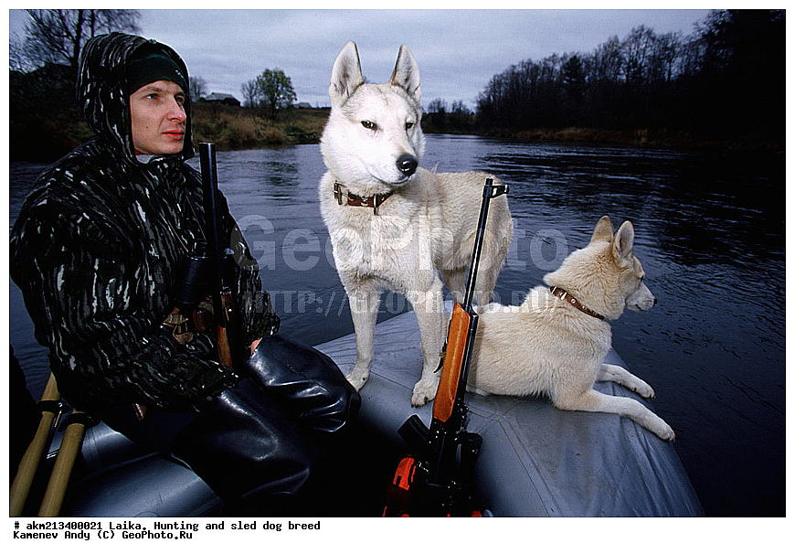  �����, ������, ������, �����, ���������, ���������