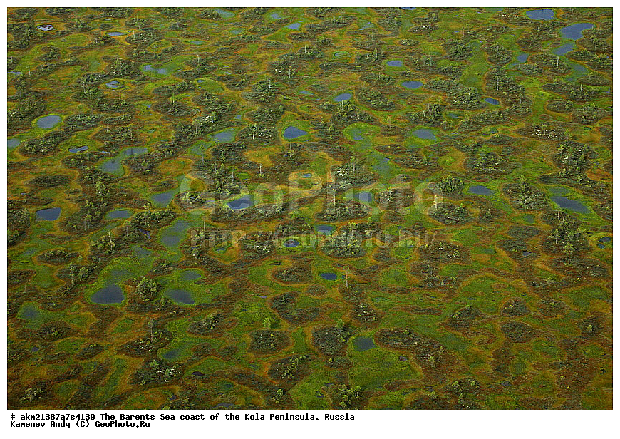  �������� �������, �����, ��������, �����-�������� ������, �� ���� � �����, ������, ������, �������� ����������, ������