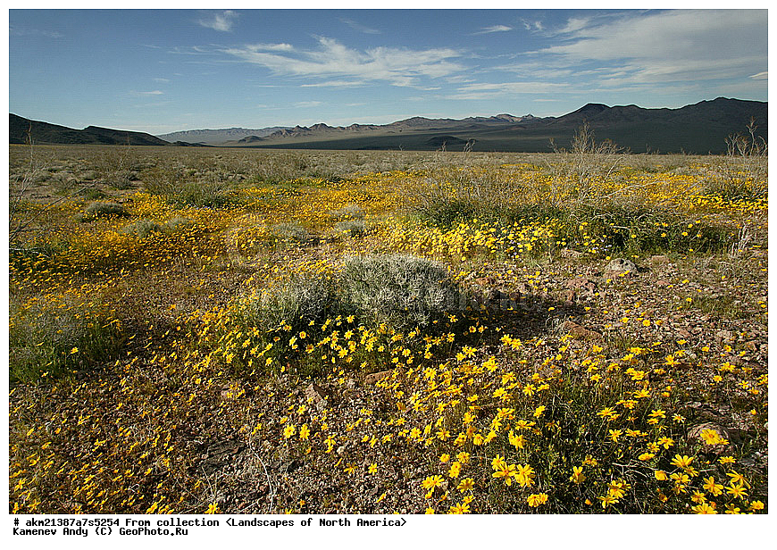  ��������, ������, �������� �������, ������������ ����, ��� ����� �������� �������, �������, �������, ���, �������