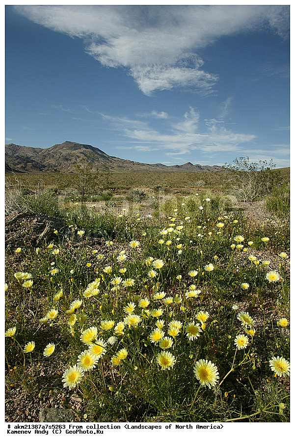  ��������, ������, �������� �������, ������������ ����, ��� ����� �������� �������, �������, �������, ���, �������