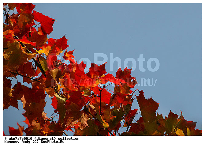 ���������, ����������, �����������, ���������, ��������, ����