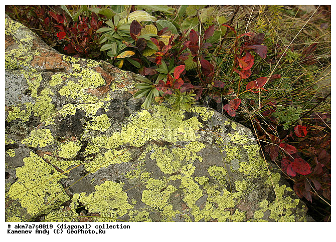 ���������, ����������, �����������, ���������, ��������, ����