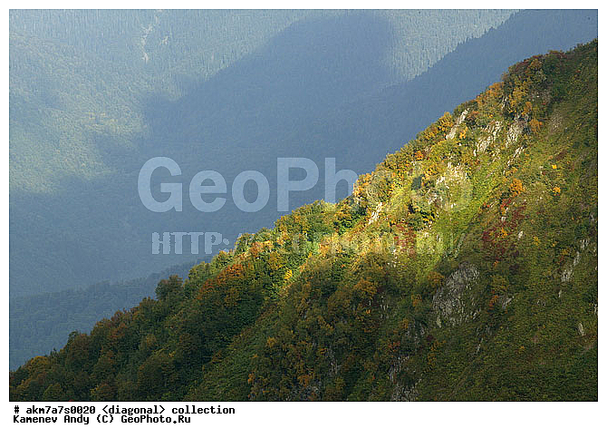 ���������, ����������, �����������, ���������, ��������, ����