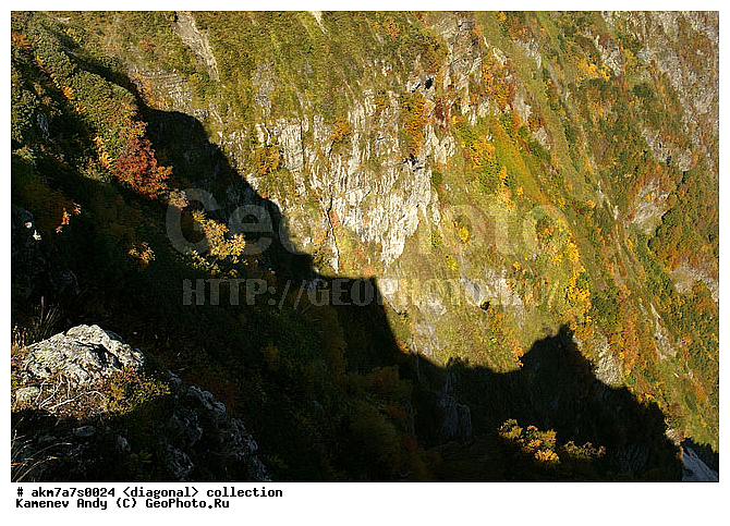 ���������, ����������, �����������, ���������, ��������, ����