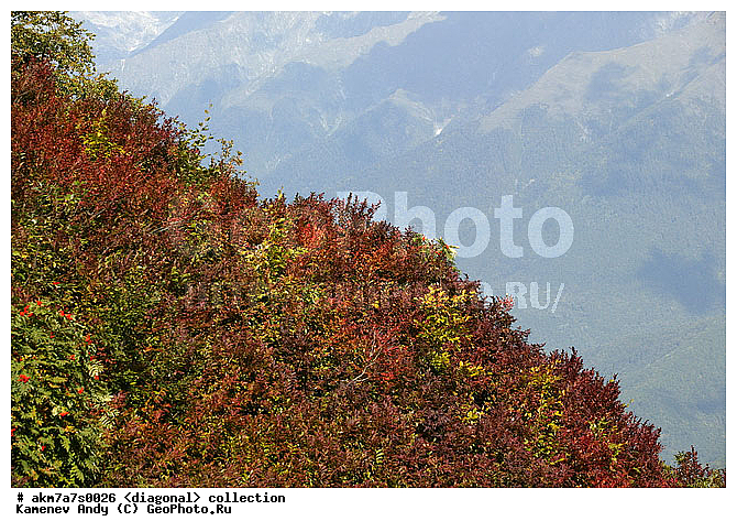 ���������, ����������, �����������, ���������, ��������, ����