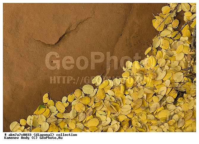 ���������, ����������, �����������, ���������, ��������, ����