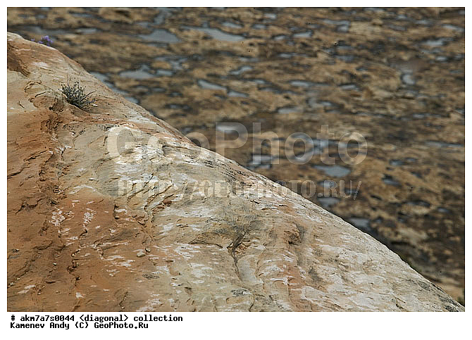 ���������, ����������, �����������, ���������, ��������, ����