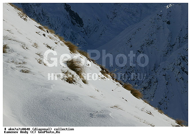 ���������, ����������, �����������, ���������, ��������, ����