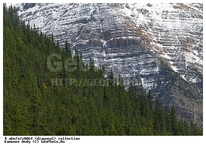 ���������, ����������, �����������, ���������, ��������, ����