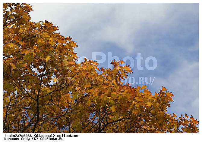 ���������, ����������, �����������, ���������, ��������, ����