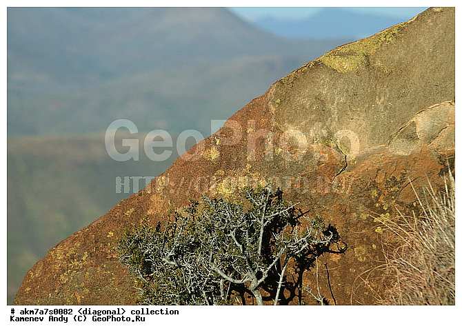 ���������, ����������, �����������, ���������, ��������, ����