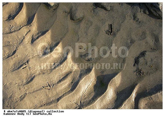 ���������, ����������, �����������, ���������, ��������, ����