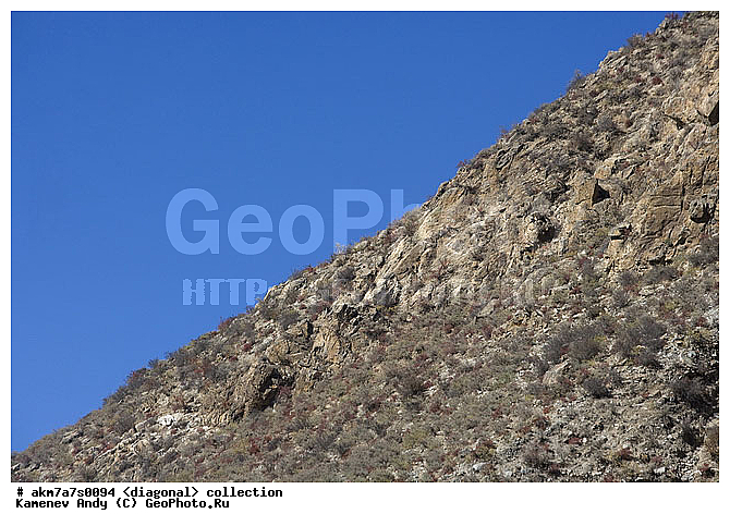 ���������, ����������, �����������, ���������, ��������, ����