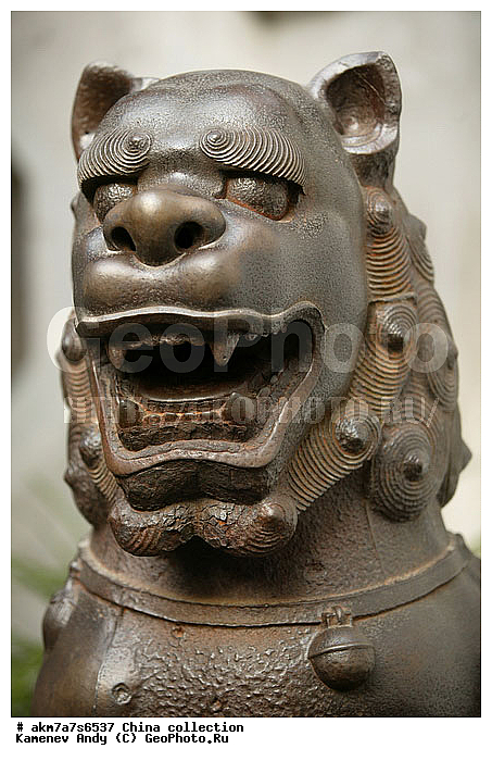 ����, ����-�������, �������, �����, ���������, ���������