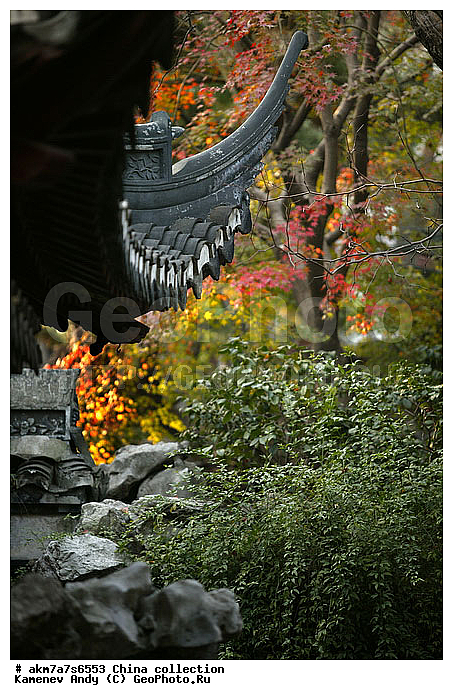 ����, ����-�������, �������, �����, ���������, ���������