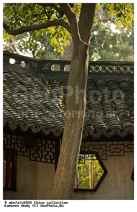 ����, ����-�������, �������, �����, ���������, ���������