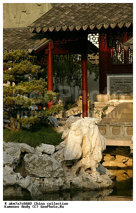 ����, ����-�������, �������, �����, ���������, ���������