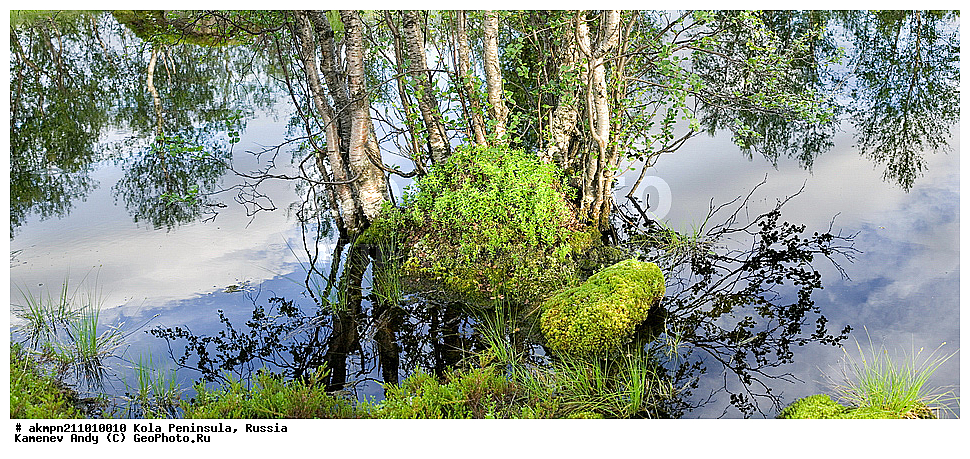 ��������� ����, ��������, �������� ����������, ����, ������