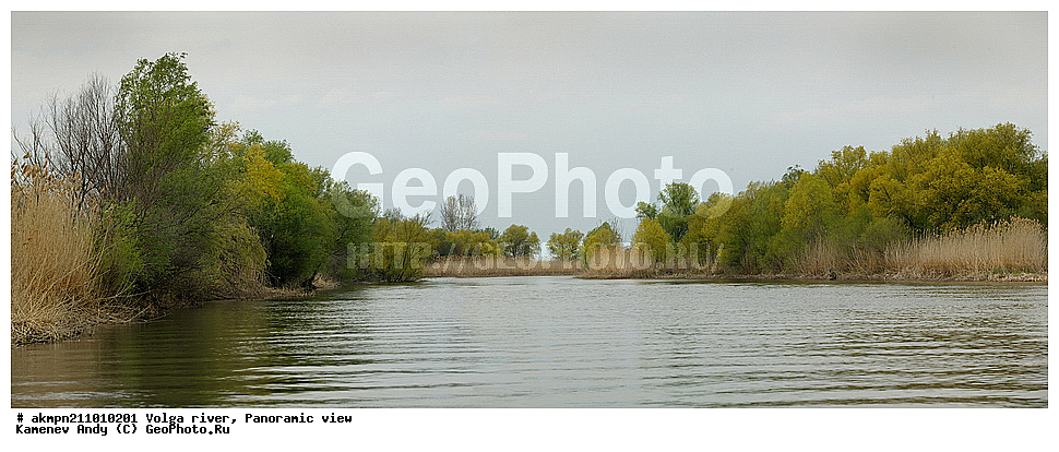 ������������ �������, ������� �����, �����, ��������, ������