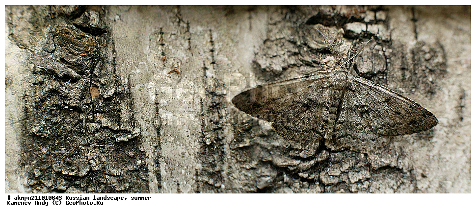 ������� ����, ����, ������ �������, ����, �����, ����������, ��������, ������, ��������� �������, ��������, �������