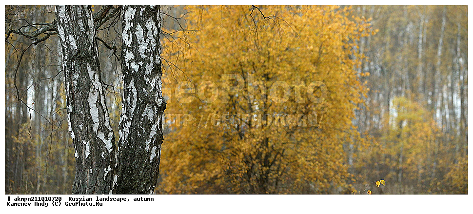 ������� ����, �������, ������� �������, �����, ����������, ��������, ������, ��������� �������