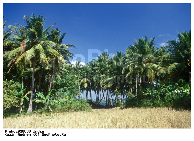 �����������, �����, �����, ����, ������, �������, ������, ������, �������