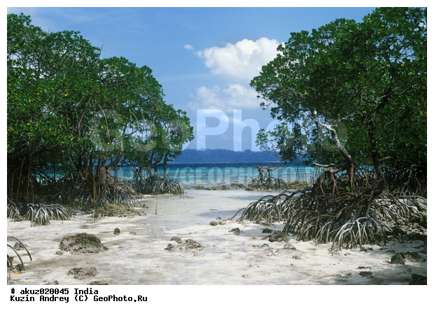 �����������, �����, ������, �����, ��������� ������, ����, �������