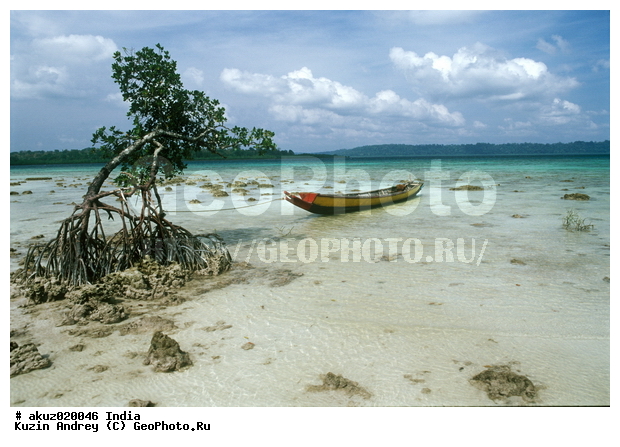 �����������, �����, �����, �����, ��������� ������, ����, �������