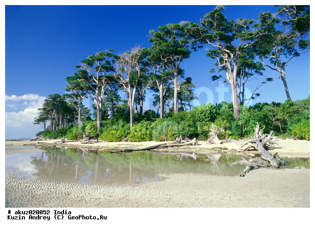 �����������, ������, �����, ����, �������, ������, �������