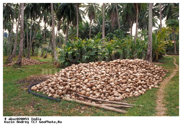 �����������, �����, �����, ��������� ����, �������, ������