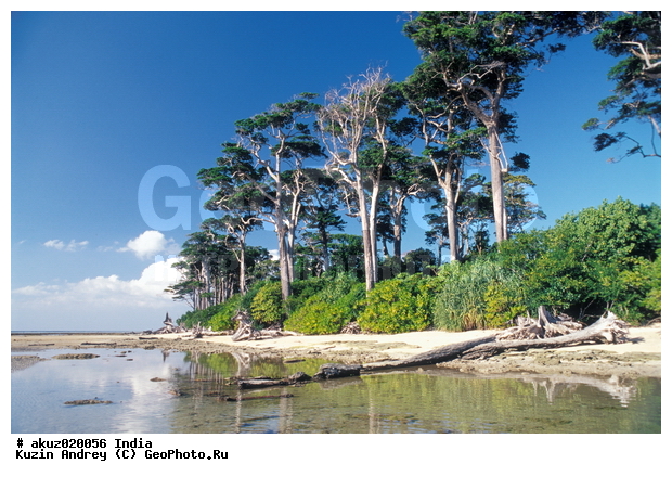 �����������, ������, �����, ����, �������, ������, �������