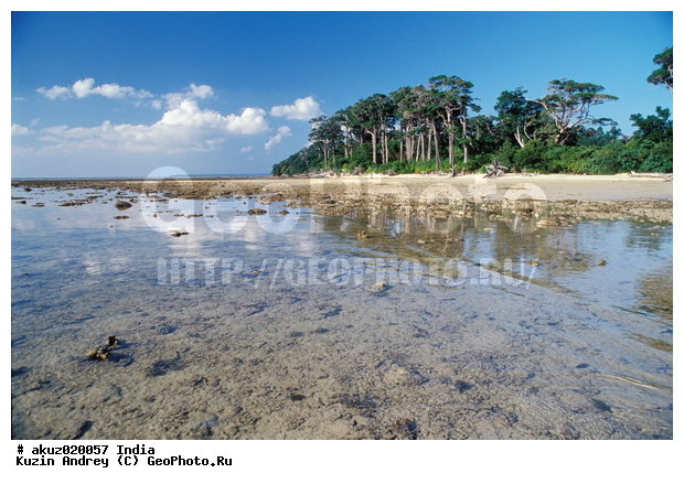 �����������, ������, �����, ����, �������, ������, �������