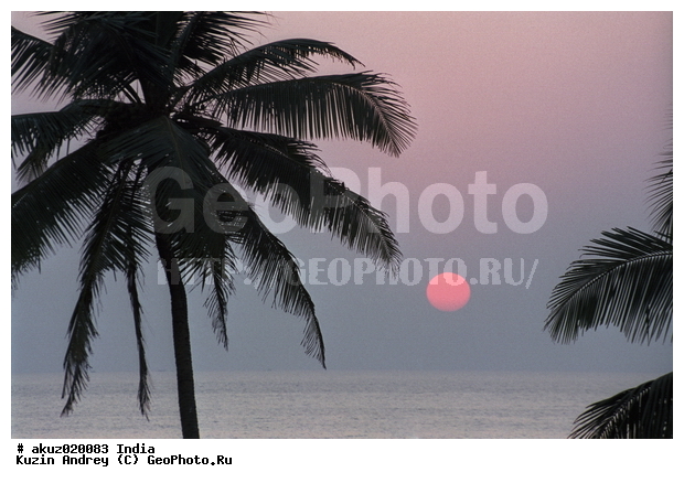 �����, ���������, ���������� ����, �����, ����, ������, ������