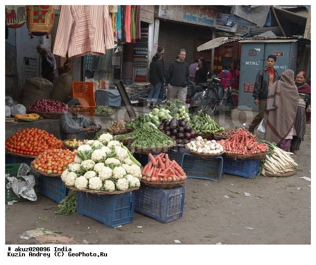 ����, �����, ���������, �����, �������, �����, ���, �������, �����, ��������, ��������, �����