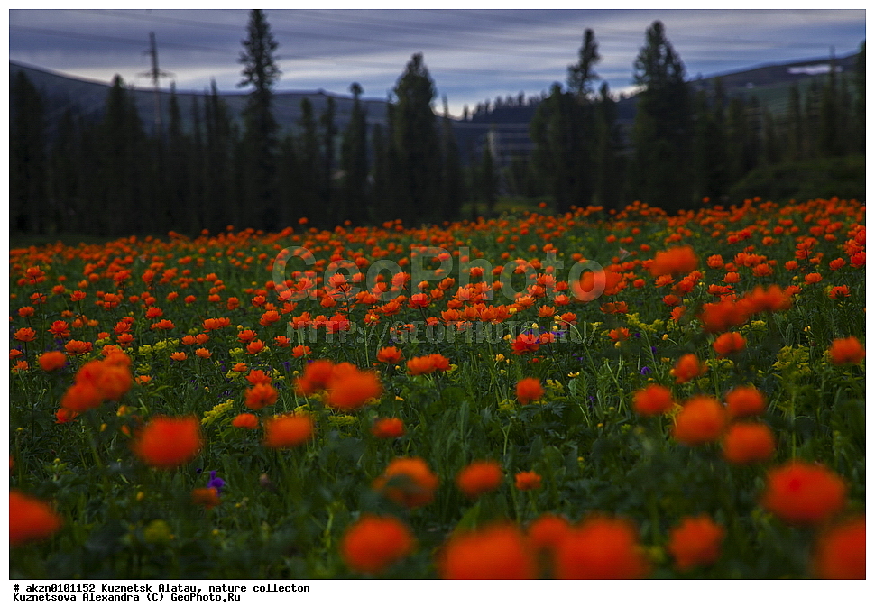 ��������� ������, ����, �������, ����, ��������, �����, �����