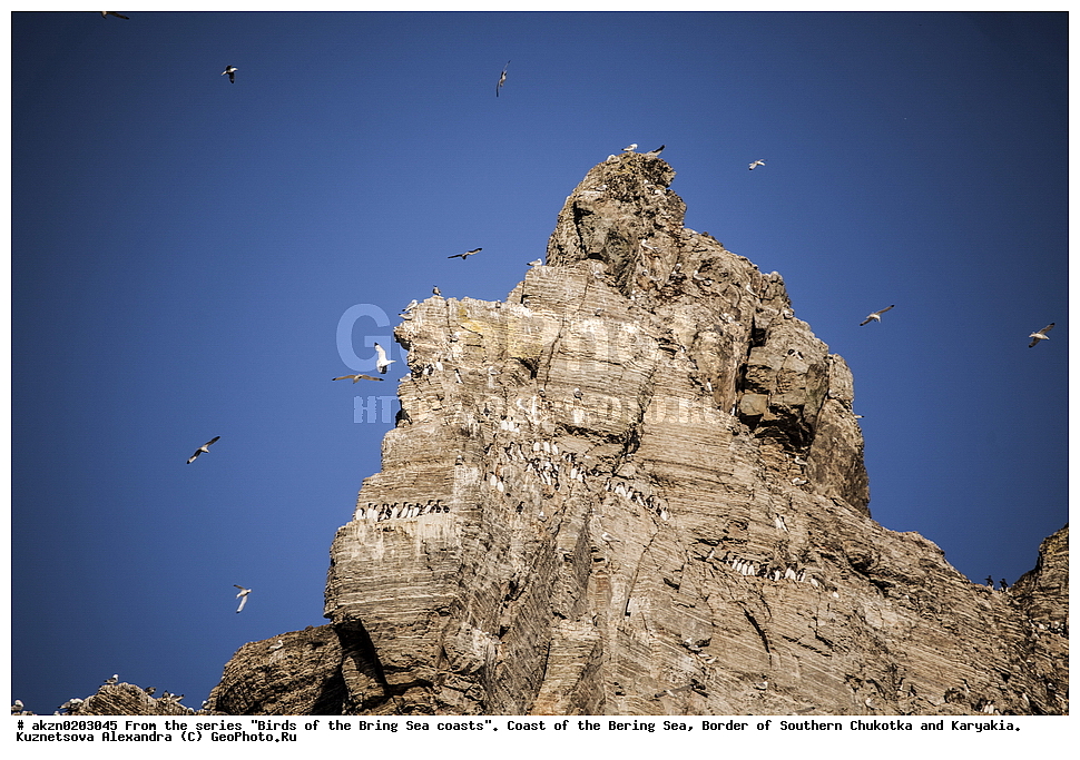 �����,  ���������, �������� ����, �������, �������, ����, ���������, �����������, 
, ��������