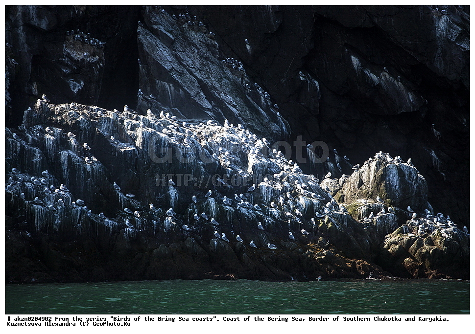 �����,  ���������, �������� ����, �������, �������, ����, ���������, �����������, 
, ��������