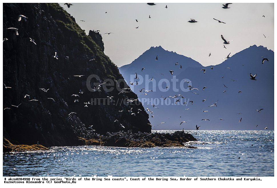 �����,  ���������, �������� ����, �������, �������, ����, ���������, �����������, 
, ��������