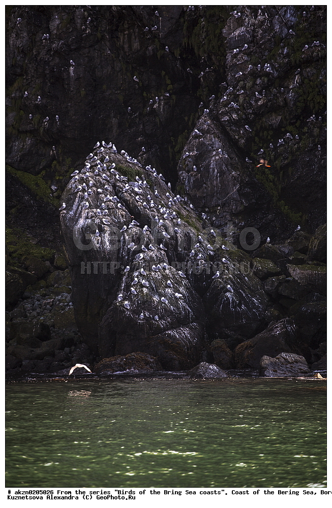 �����,  ���������, �������� ����, �������, �������, ����, ���������, �����������, 
, ��������