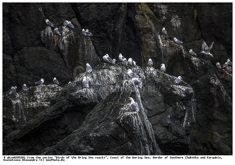 �����,  ���������, �������� ����, �������, �������, ����, ���������, �����������, 
, ��������