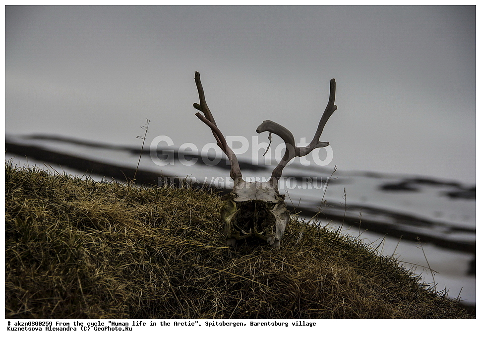 ����������,  ������,  ����������, �������, ����� � �������, �������, ���������, ������� ���������� ������