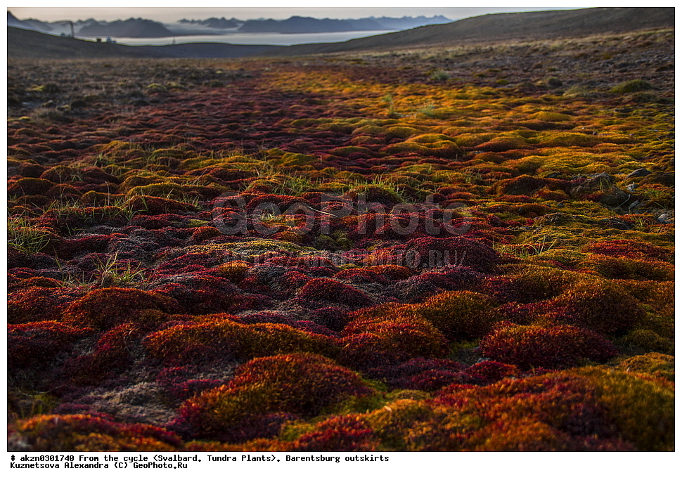 ����������, ��������, ������  ����������, ����, �����, ����������� ����� , �������, ���������, ������� ���������� ������